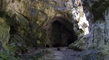 Jankovich-barlang, Bajót